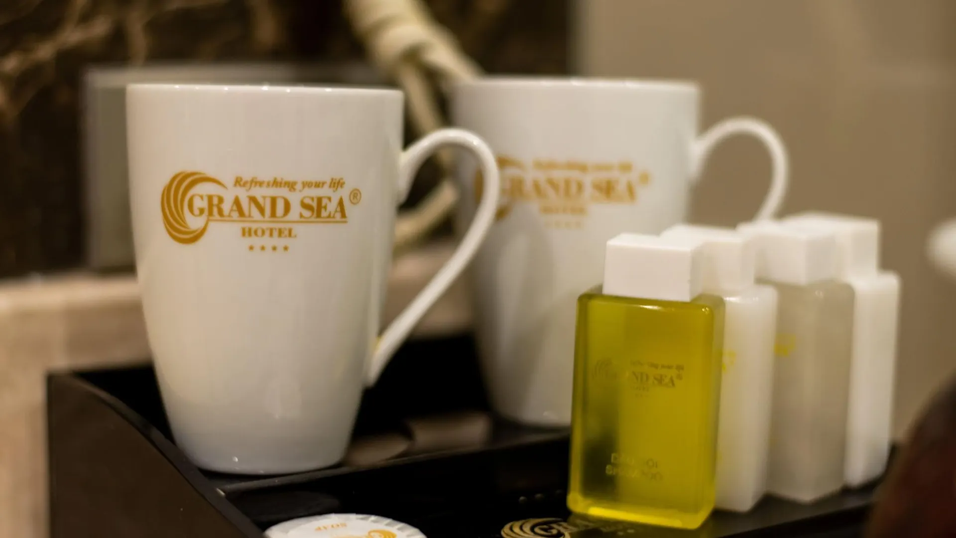 Grand Sea Hotel Danang Vietnam
